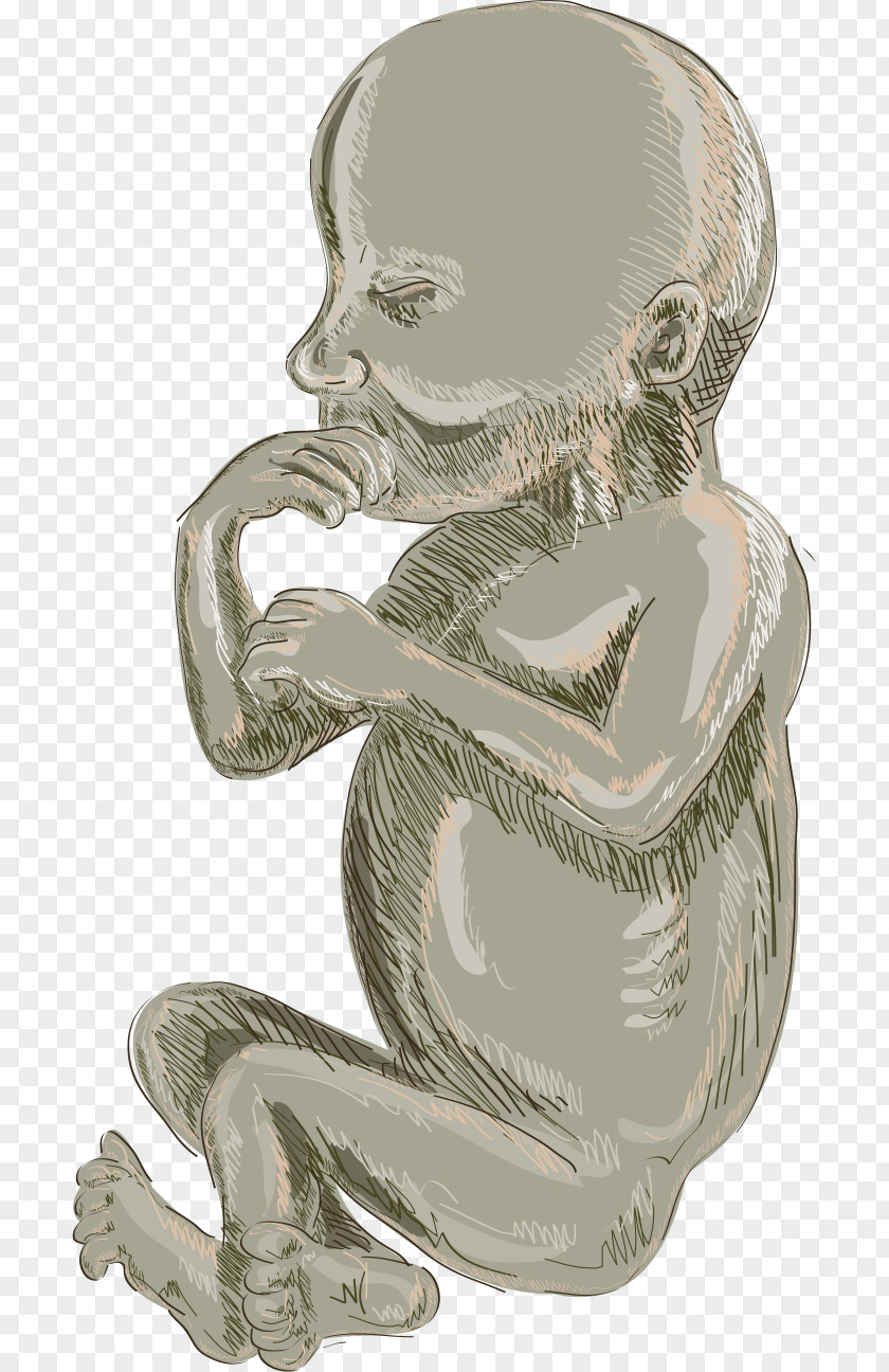 Hand-painted Baby Fetus Infant Drawing Cartoon Illustration PNG