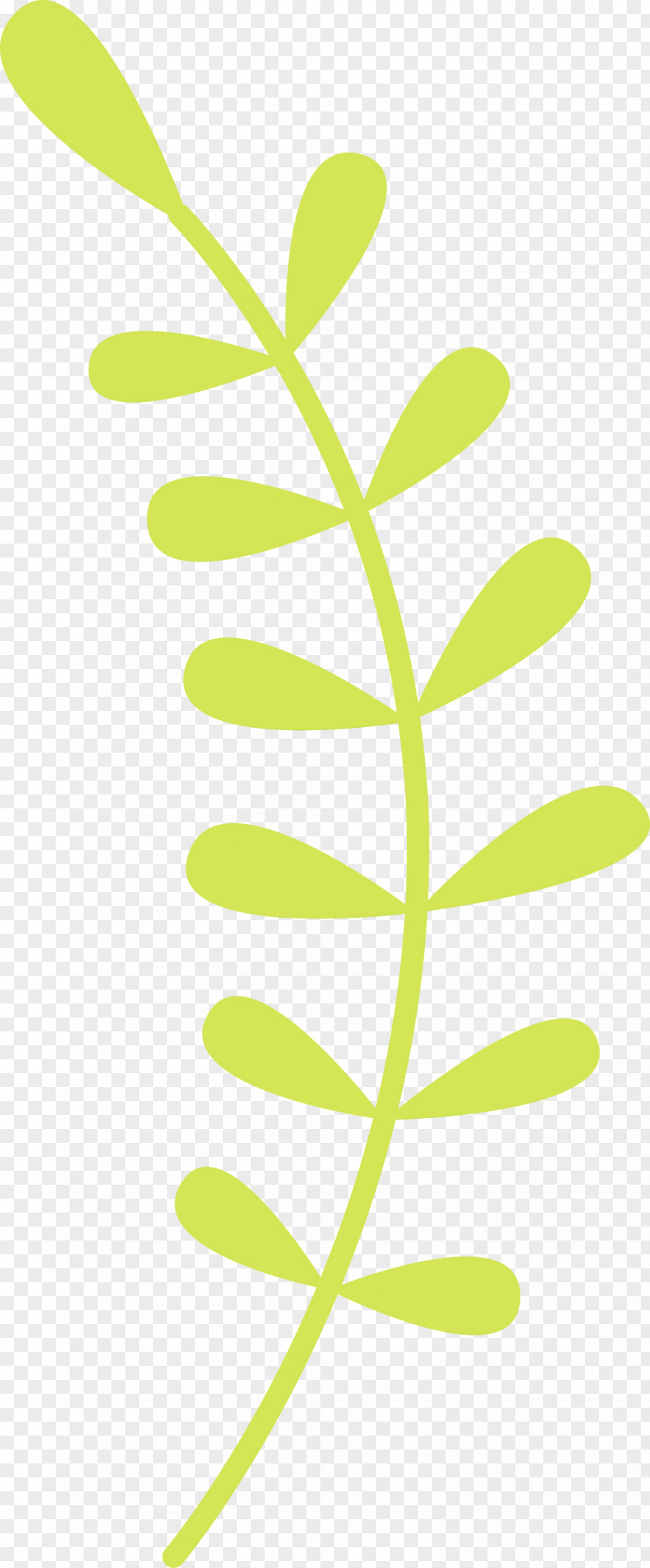 Leaf Green Plant Flower Stem PNG