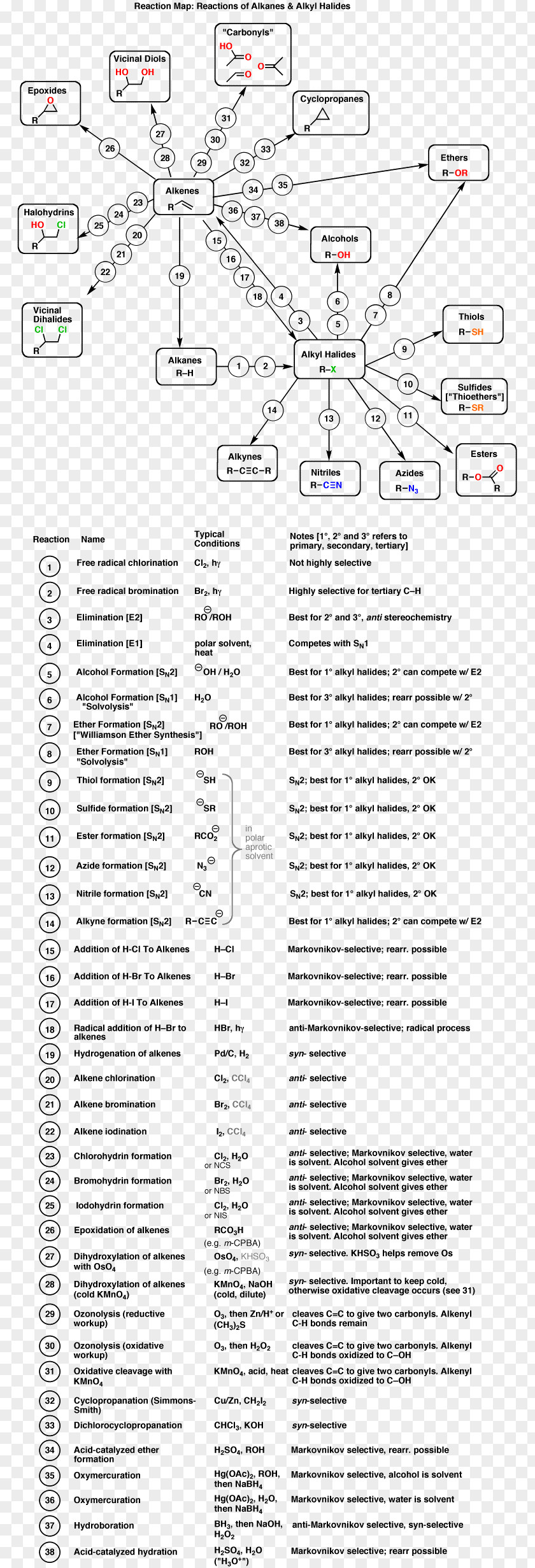 Organic Chemistry Alkene Haloalkane PNG