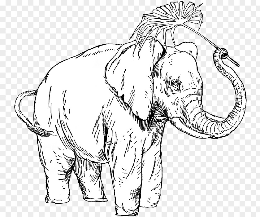 People With Animals Indian Elephant African Line Art Drawing PNG