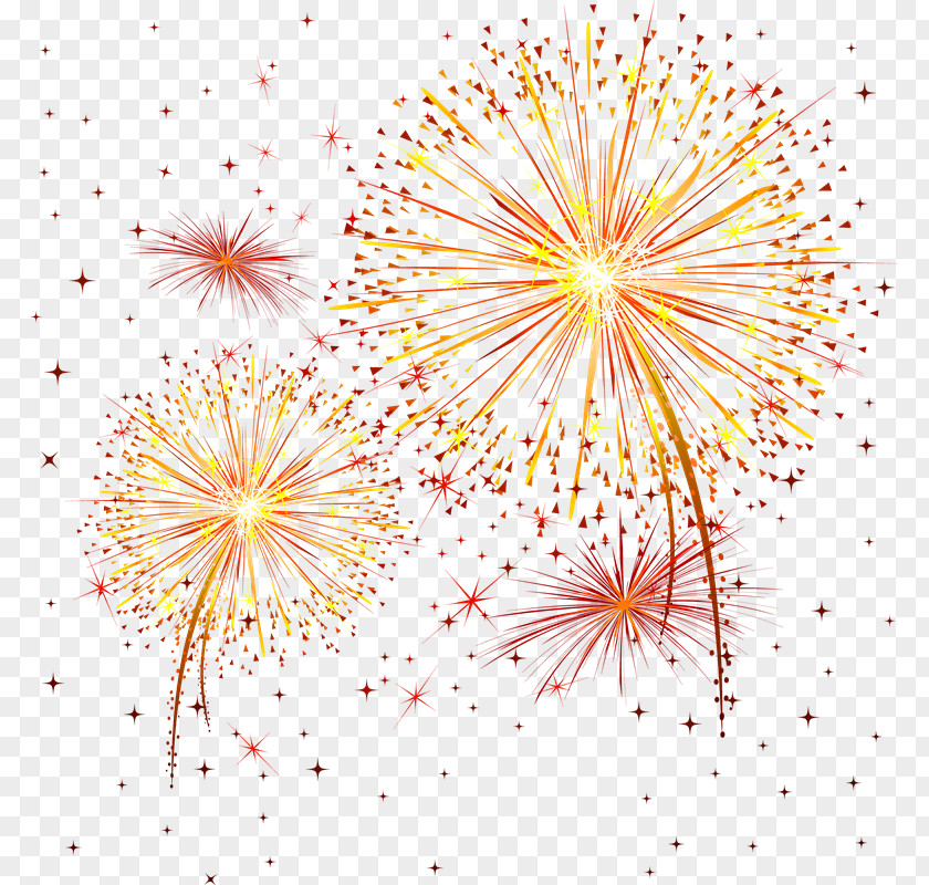 Artificial Fly Fireworks Clip Art PNG