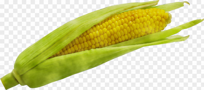 Corn On The Cob Sweet Natural Foods PNG