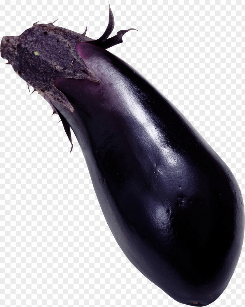 Eggplant Images Download Stuffed Vegetarian Cuisine Vegetable PNG