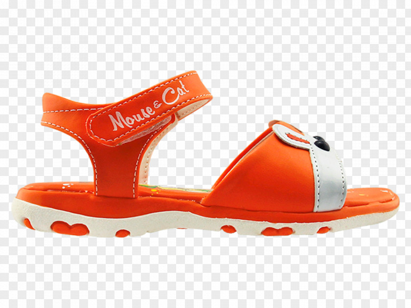 Họa Tiết Sandal Shoe PNG