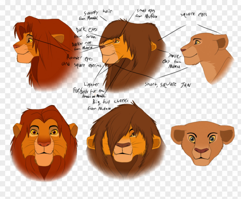 Lion The King Mufasa Kion Simba PNG