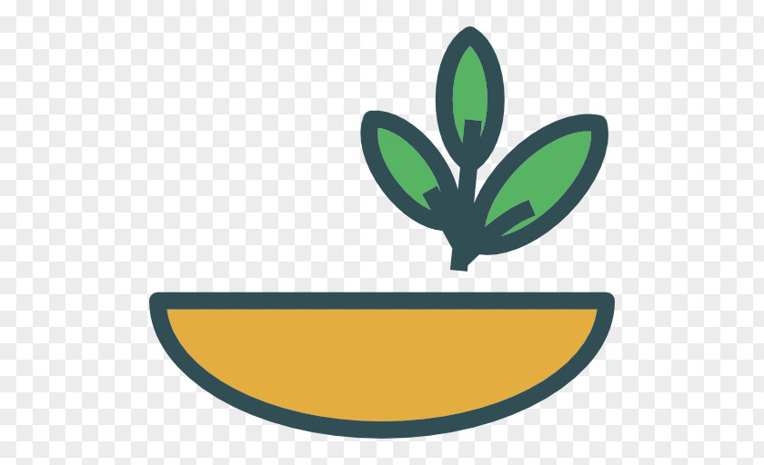 Organic Vegetables Food Leaf Plant Cardamom PNG