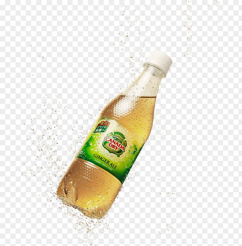 Beer Bottle Alcoholic Drink Glass PNG
