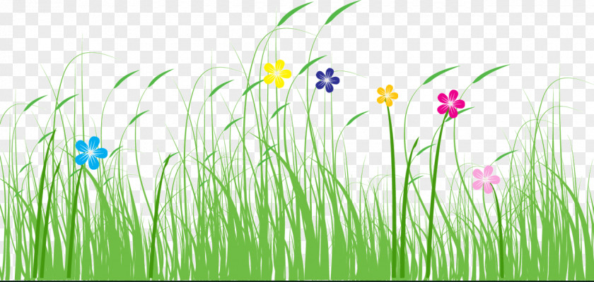 Grass Dog's Tail PNG dog's tail grass clipart PNG