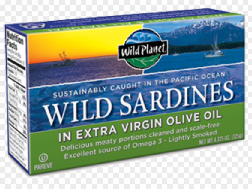 Olive Oil Sardines As Food PNG