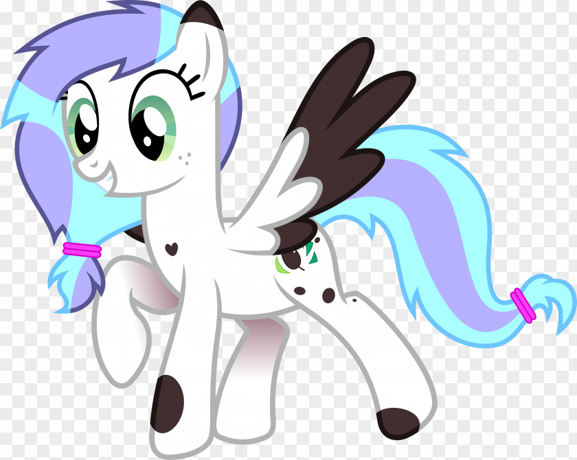 Cat My Little Pony Horse Rainbow Dash PNG