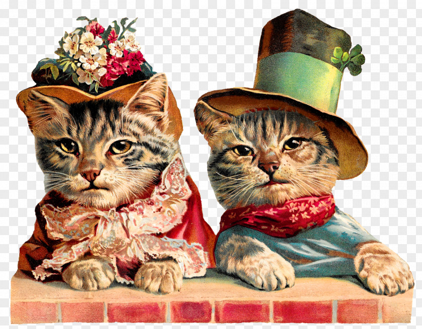 Cats And Mothers Kitten Whiskers Cat Vintage Clothing PNG