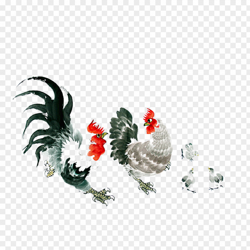 Chicken Ink Pattern Silkie Rooster PNG