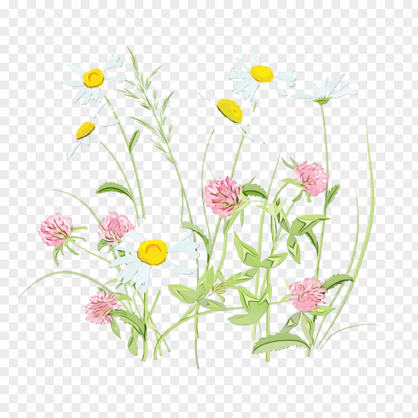 Floral Design PNG