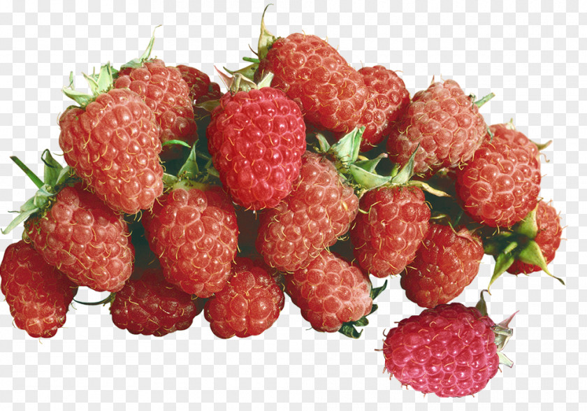 Freshly Picked Raspberries Material Raspberry Download PNG