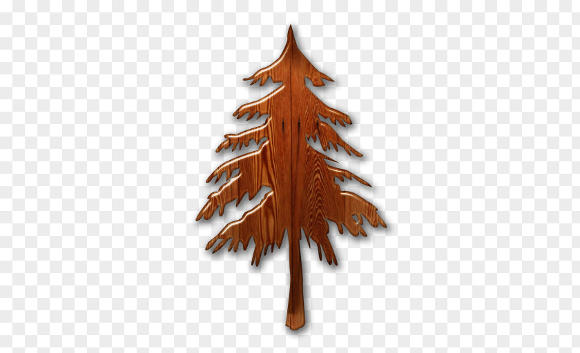 Norway Spruce Evergreen Tree Pine Fir PNG