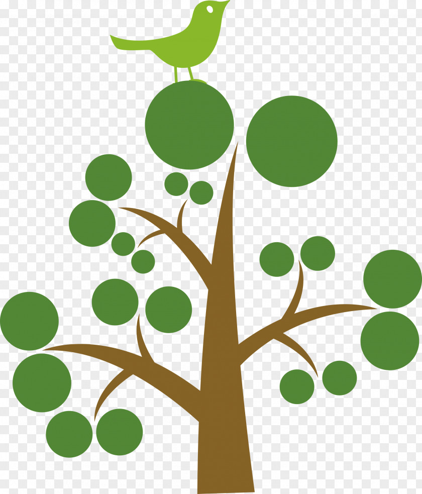 Tree PNG