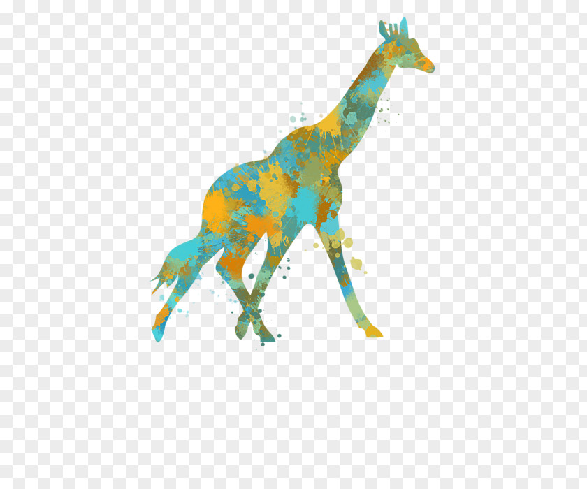Watercolor Giraffe Giraffes Can't Dance Drawing The White PNG