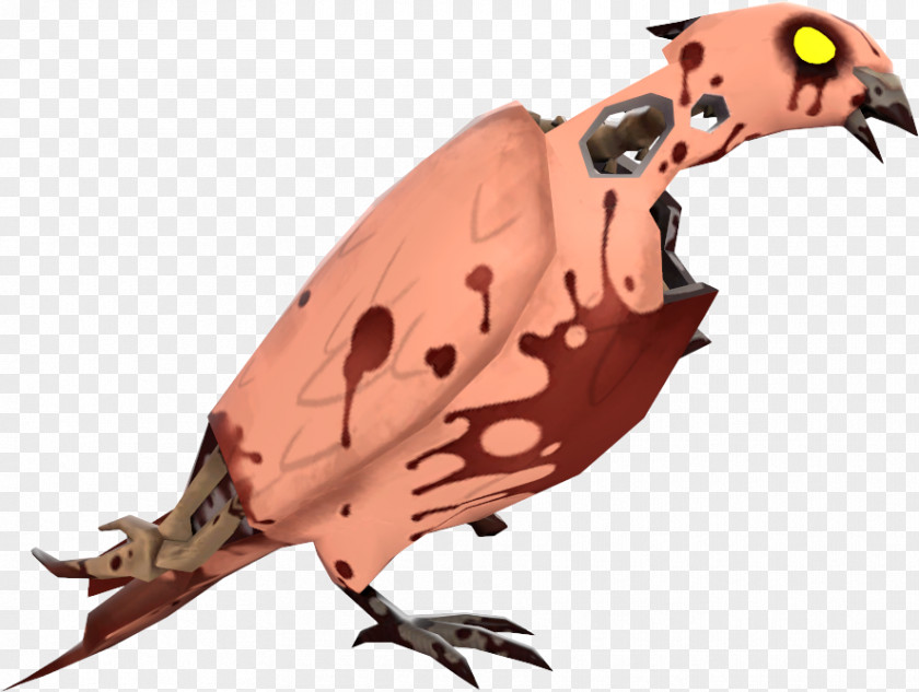 Beak Animal PNG
