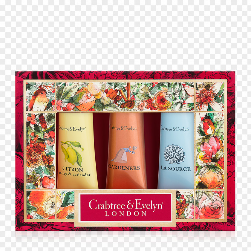 Coriander Gift Lotion Christmas Hand Cream PNG