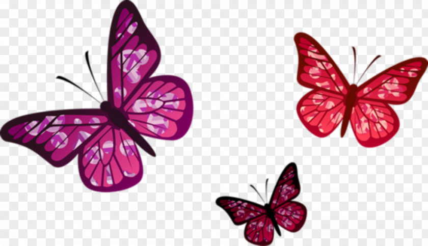 Painting Monarch Butterfly Flower Image PNG