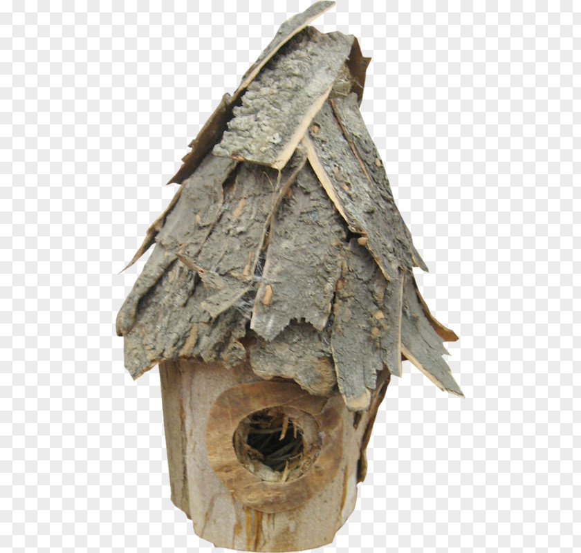 Plant Trunk Winter House PNG