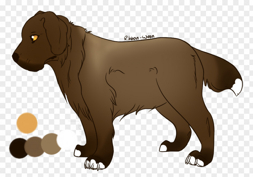 Puppy Dog Breed Boykin Spaniel Snout PNG