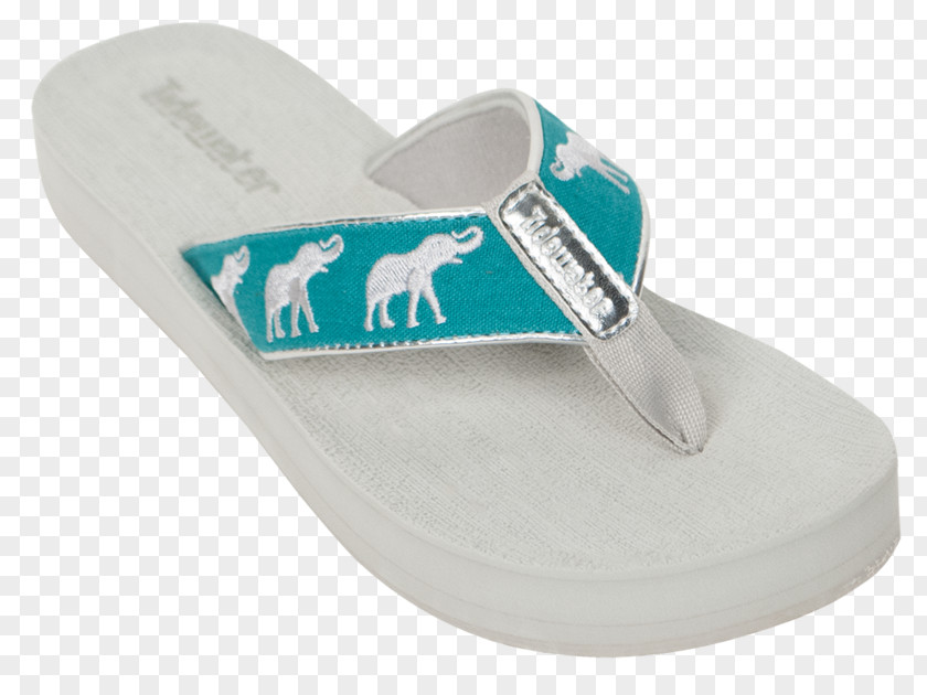 Sandal Flip-flops Shoe Clothing Toe PNG