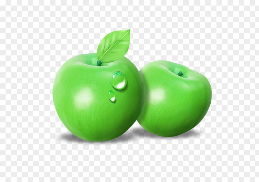 Vector Green Apple Granny Smith PNG