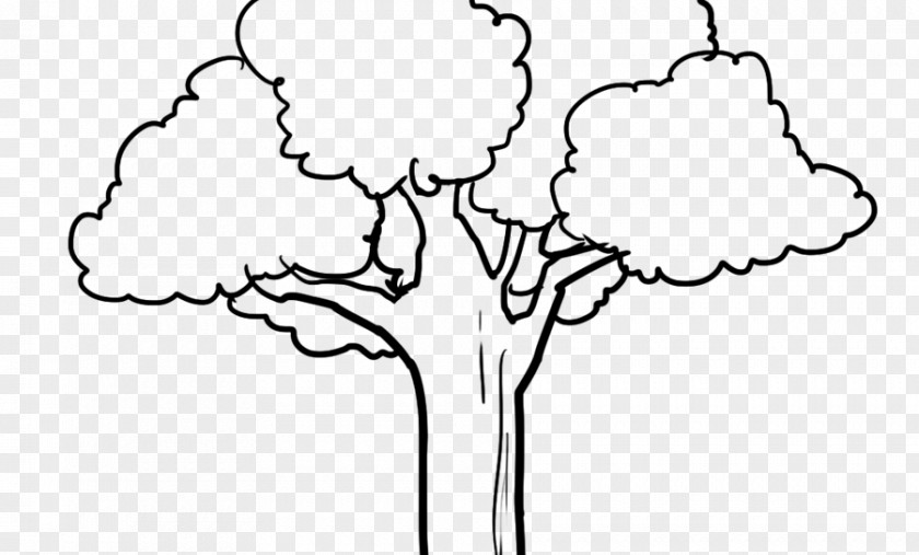 Book Coloring Child Adult Tree PNG