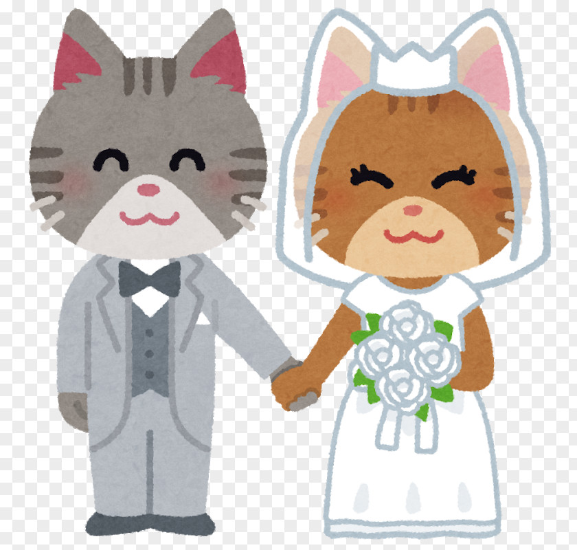 Cat Food Bridegroom Wedding Dog PNG