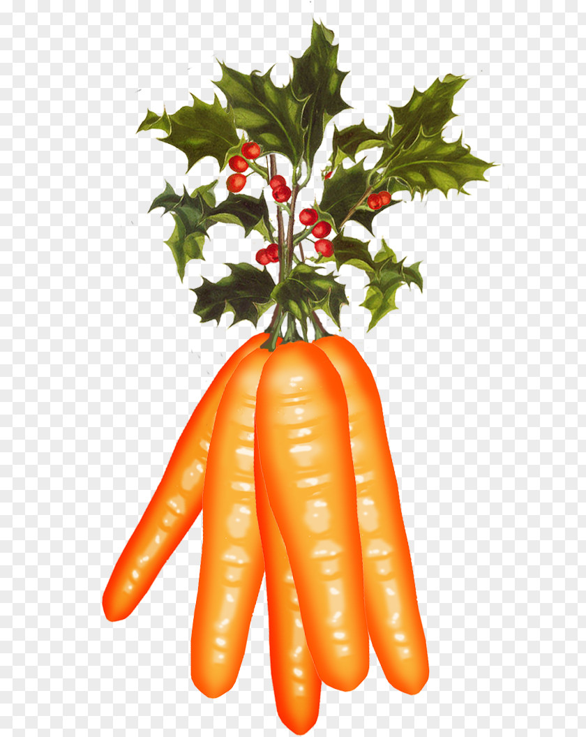 Christmas Baby Carrot Vegetarian Cuisine Food Common Holly PNG