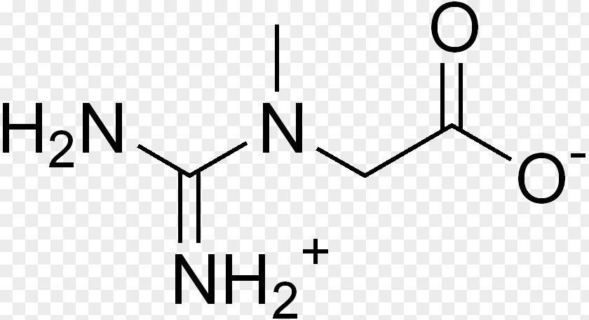 Dietary Supplement Creatine Ethyl Ester Group PNG