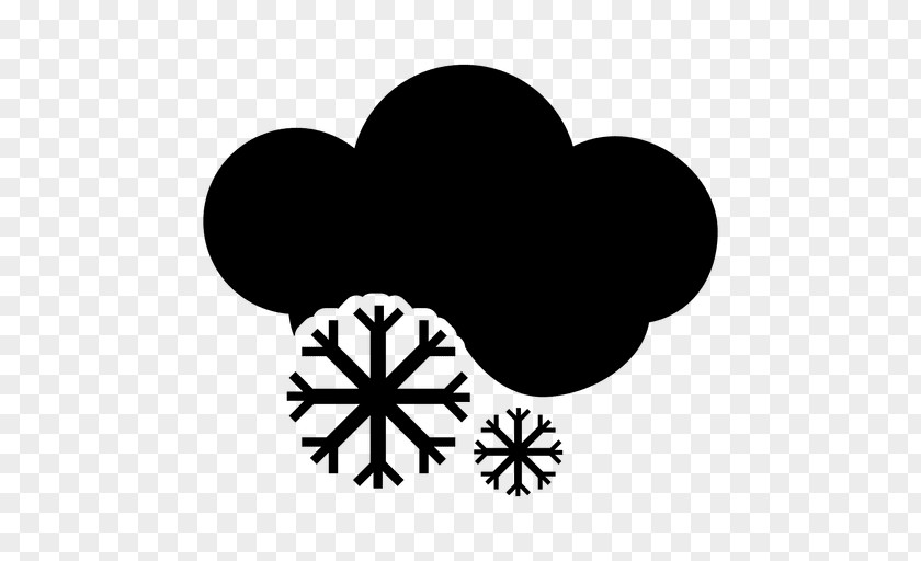 Snow Icon Merino Cold-pressed Juice Symbol The Future Of God-Hallucination: Reflections On Nietzschean Lifestyle-Brand Organization PNG