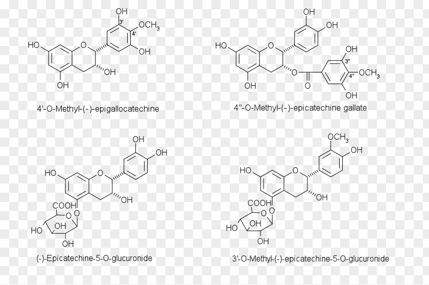 Chalcone Flavanone Aurone Flavonoid Chemical Substance PNG