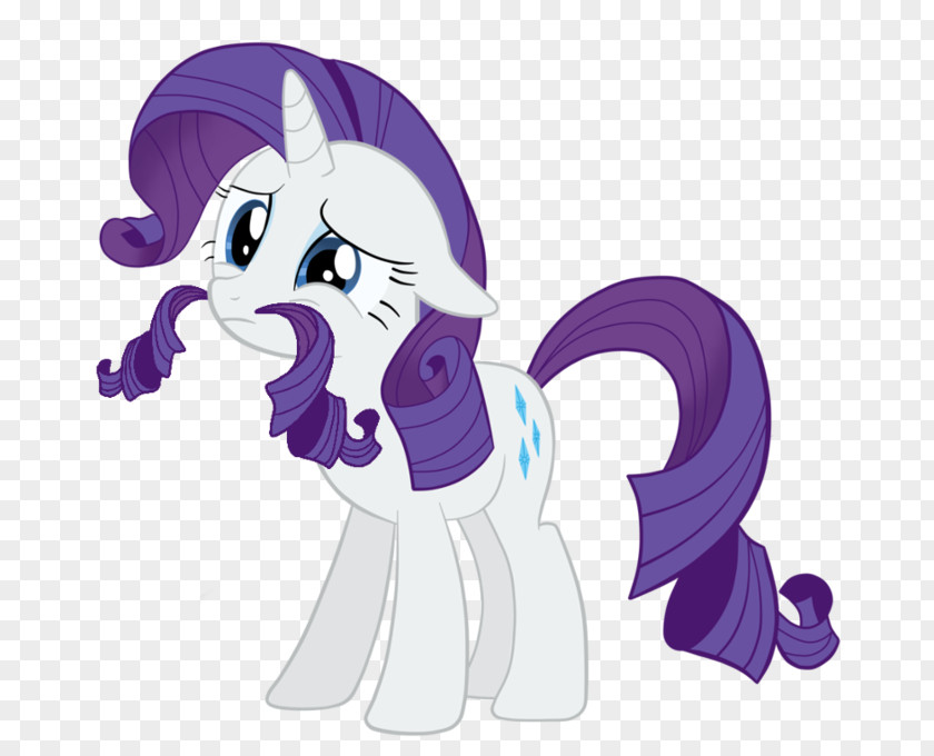 Fire Show Pony Rarity Twilight Sparkle Rainbow Dash PNG