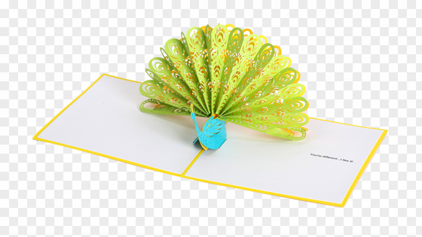 Gift Paper Pop-up Book Greeting & Note Cards PNG