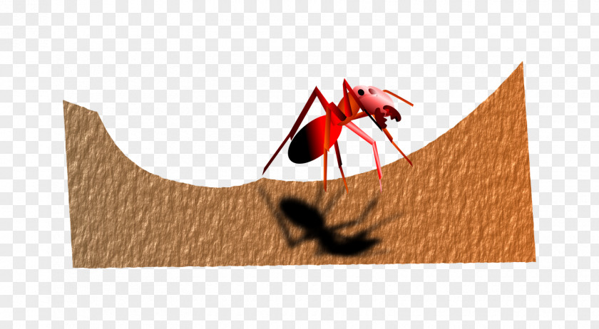 Insect Paper PNG