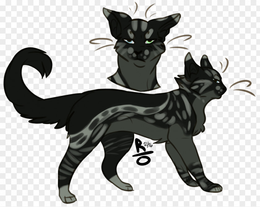 Kitten Whiskers Black Cat Dog PNG