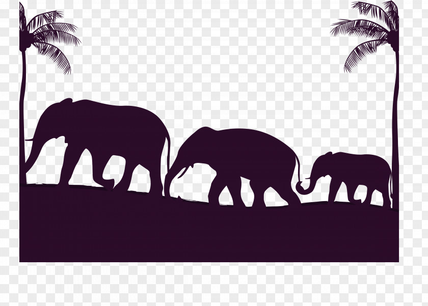 Migrating Elephant Families African Indian PNG