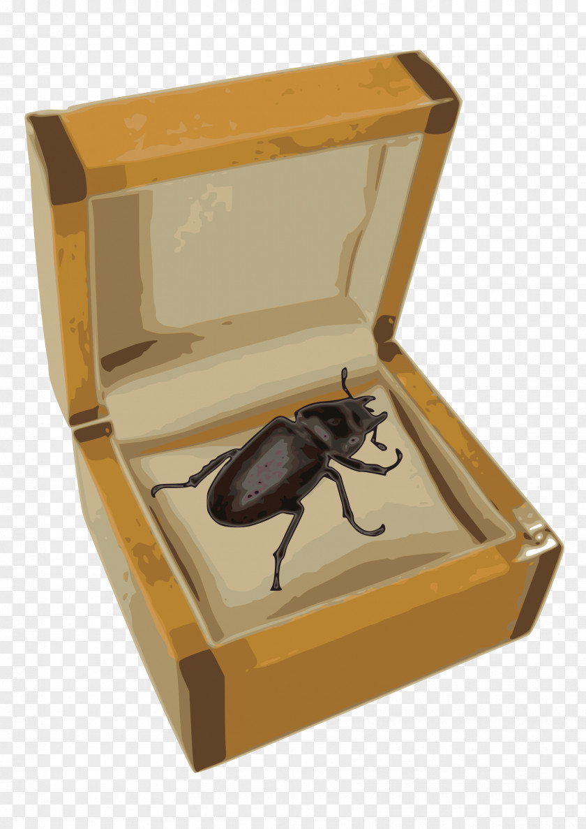 People Illustration Volkswagen Beetle Box Clip Art PNG