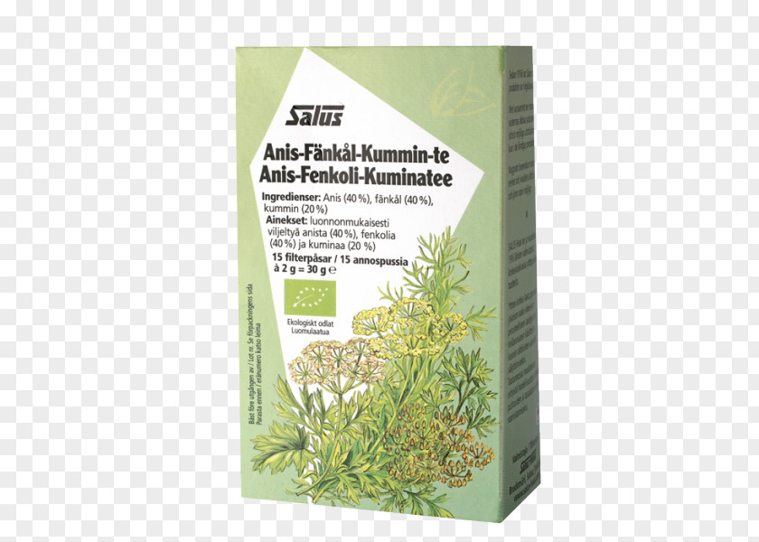 Tea Anise Herb German Chamomile Organic Food PNG