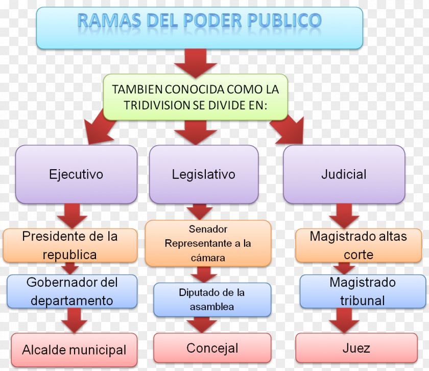 Tree Branches Government Of Colombia Executive Branch Poder Públic Judiciary PNG