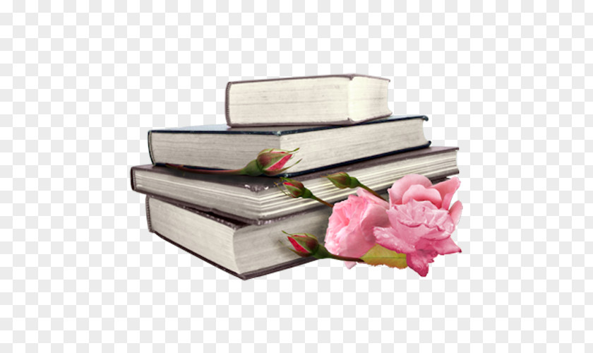 A Stack Of Books Book Discussion Club Library Textbook Reading PNG