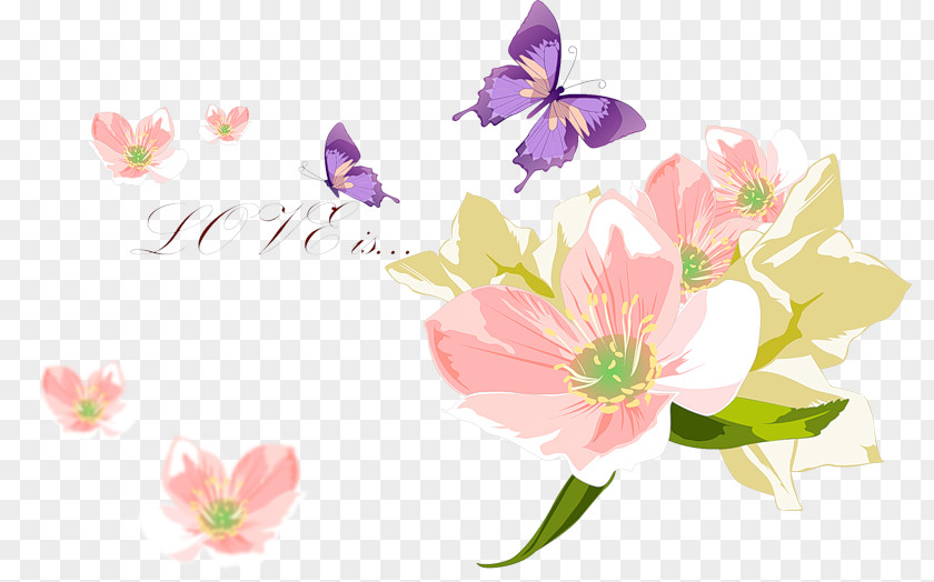 Flower Floral Design Photography Petal PNG