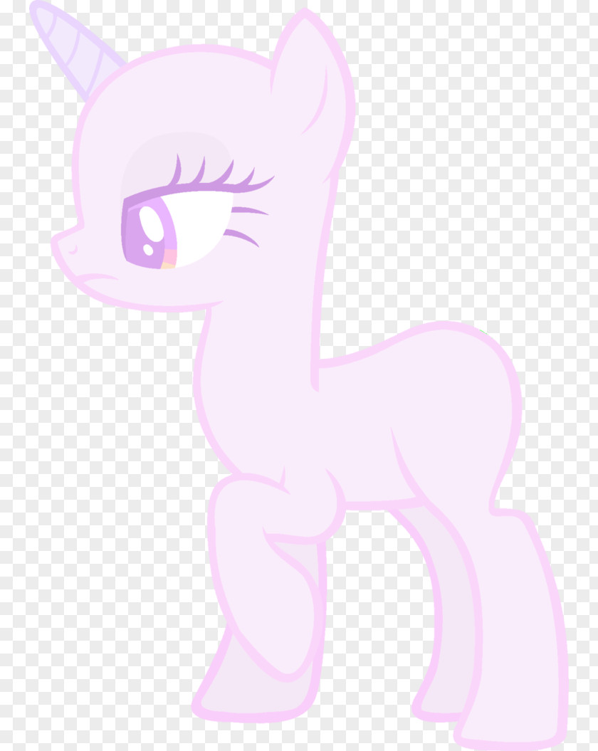 Horse Whiskers Pony Cat Canidae PNG