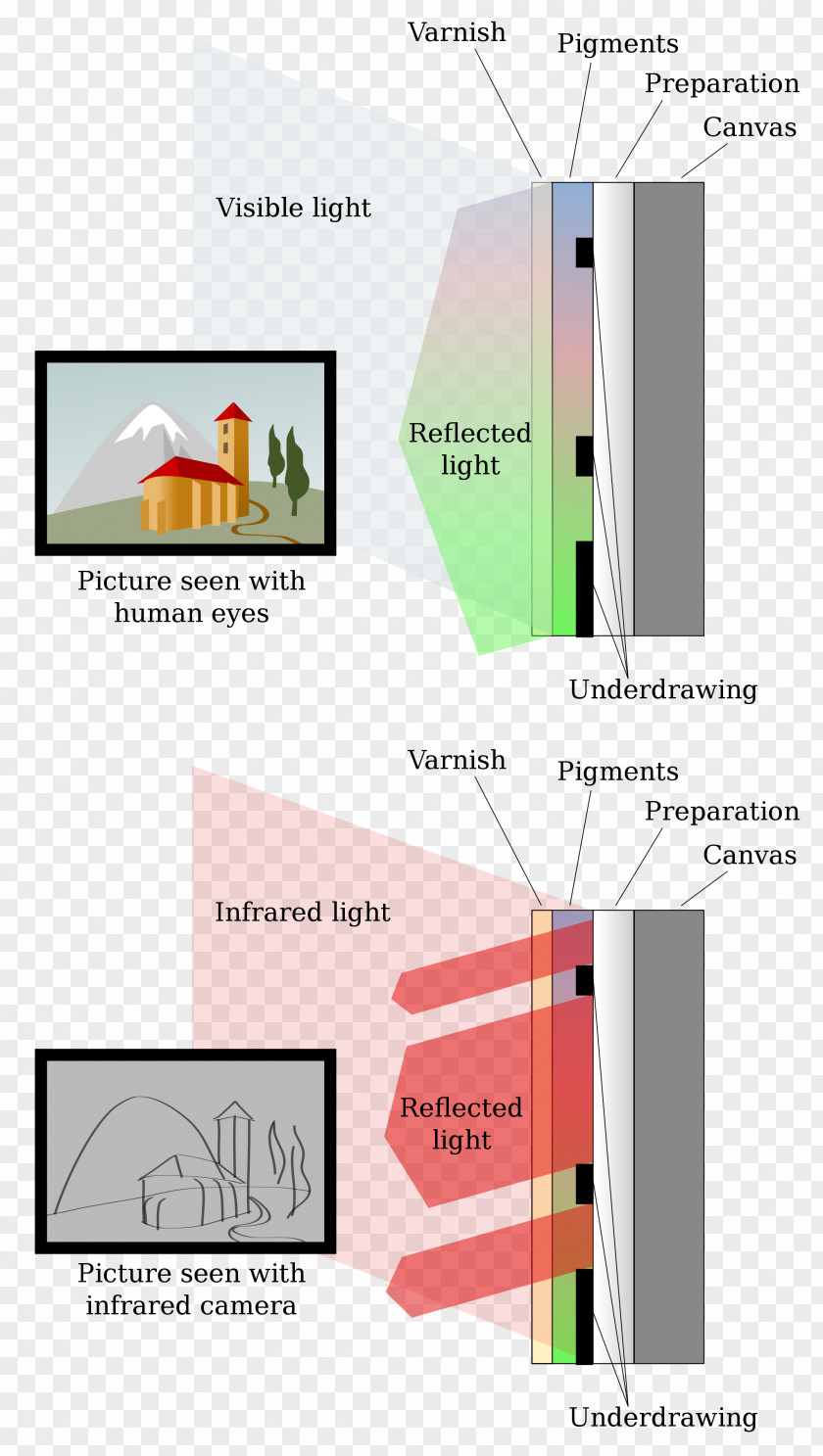 Light Infraroodreflectografie Infrared Electromagnetic Radiation Wikipedia PNG