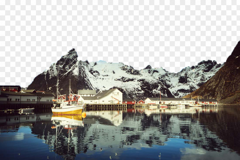 Mountain Lakes Reine Lofoten Gulls Bird Wallpaper PNG