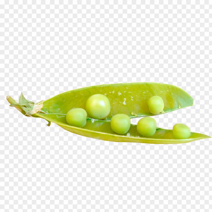 Pea Bean Salad PNG