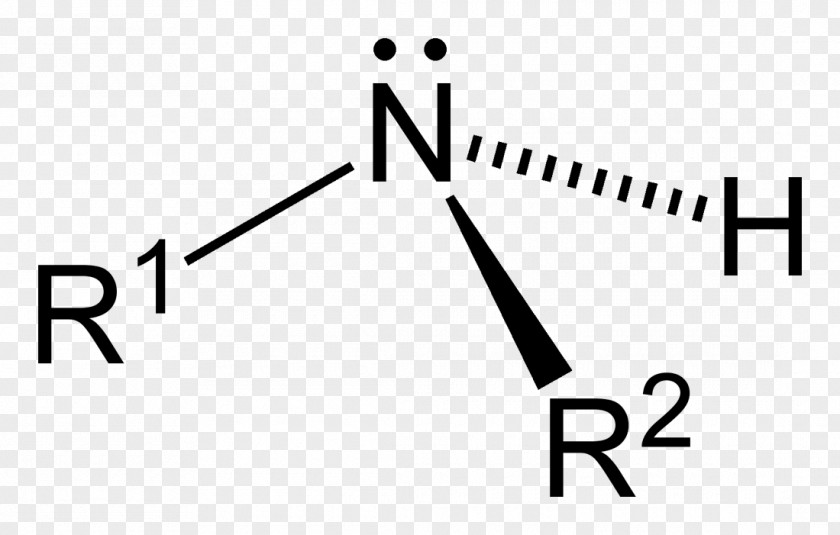 Primary Vector Amine Functional Group Substituent Amide Alkyl PNG