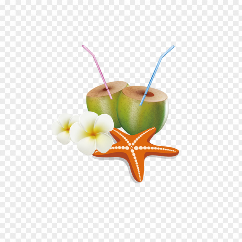 Cartoon Coconut Milk PNG